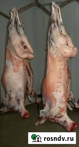 Мясо баранина Махачкала - изображение 1