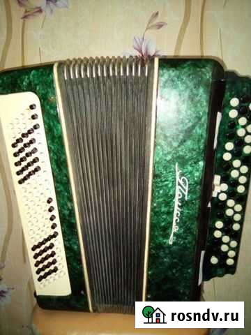 Баян Полесье Симферополь - изображение 1