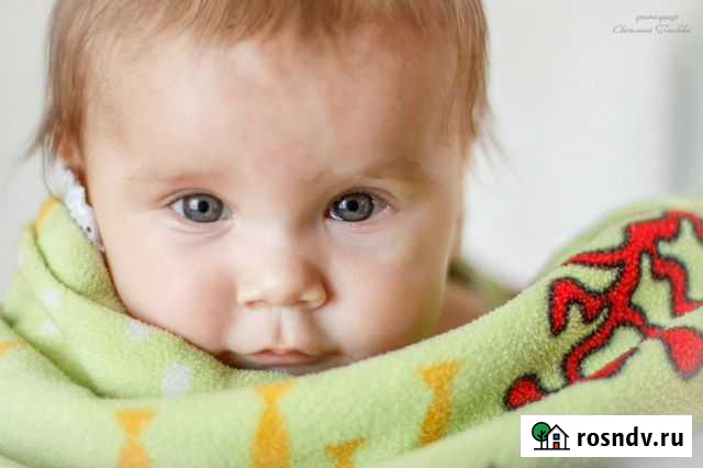 Семейный фотограф Владимир - изображение 1