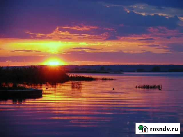 Рыбалка в Астрахани Ревин Хутор Камызяк - изображение 1