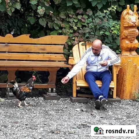 Семейный Миротворец Хабаровск - изображение 1