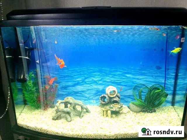 Аквариум панорамный 120 Ступино - изображение 1