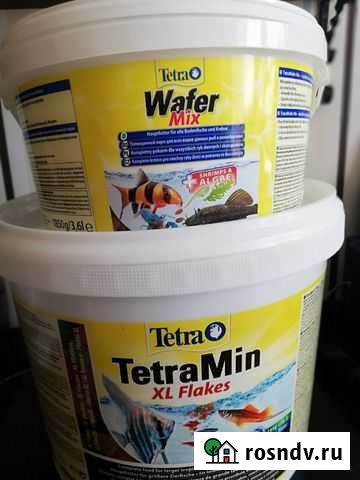 Всё для аквариума Одинцово - изображение 1