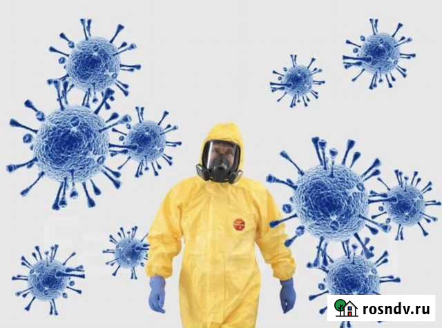 Устранение запахов дезинфекция, озонирование, клин Барнаул - изображение 1