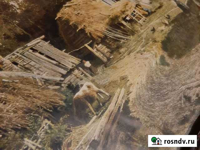 Картина Деревня  1869 год Волхов - изображение 1