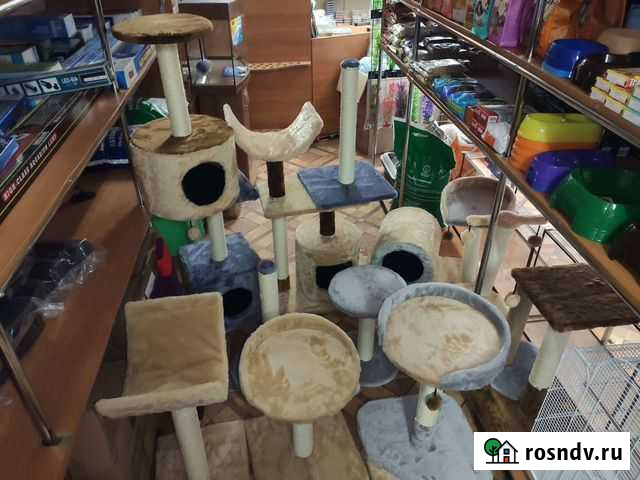 Когтеточки, домики, лежанки, переноски для котов Гуково - изображение 1