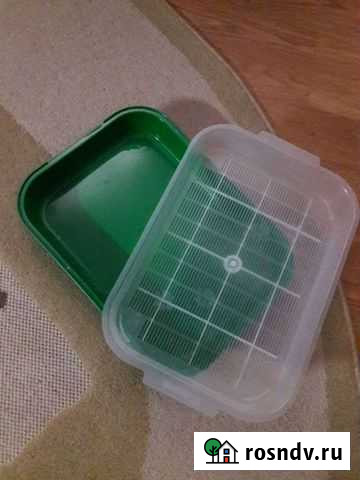 Лоток для кошек Сыктывкар - изображение 1