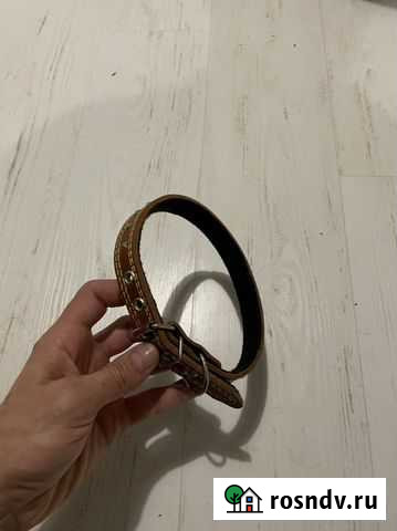 Ошейник Химки - изображение 1