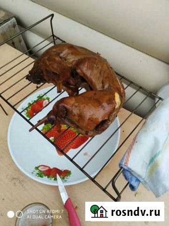 Мясо кролика Свободный - изображение 1
