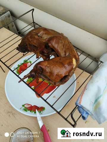 Мясо кролика Свободный - изображение 1