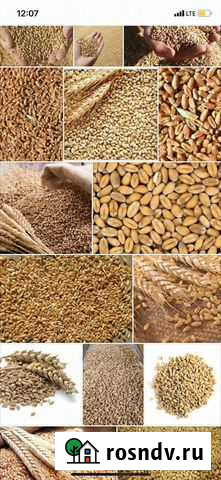 Ищу партнера Брянск - изображение 1