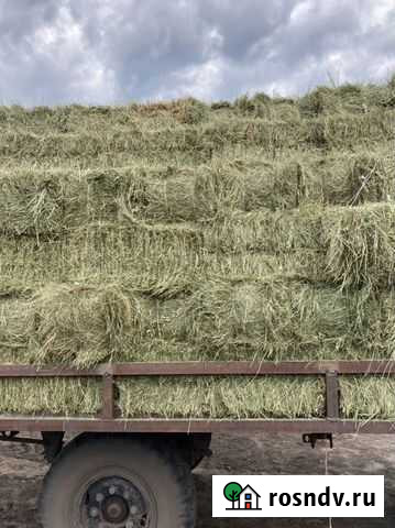 Сено Поворино - изображение 1