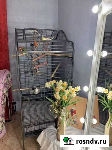 Клетка вольер для птиц Королев - изображение 1