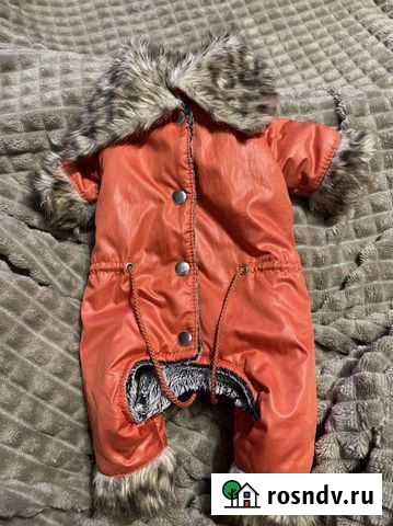 Одежда для маленьких собак Муром - изображение 1