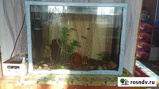 Аквариум со всем содержимым Рубцовск - изображение 1