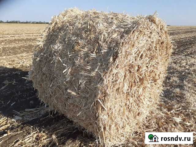 Солома Сено Кагальник - изображение 1
