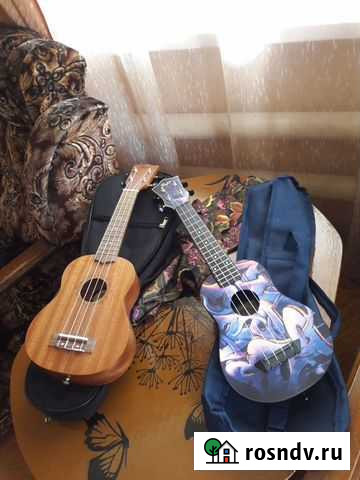 Научу играть на гавайской гитаре Воронеж - изображение 1