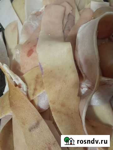 Свинина. Шкура Владикавказ - изображение 1