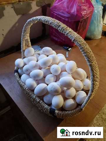 Деревенские куриные яйца Гусь-Хрустальный - изображение 1