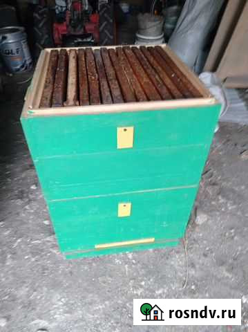 Ульи для пчел Ишимбай - изображение 1