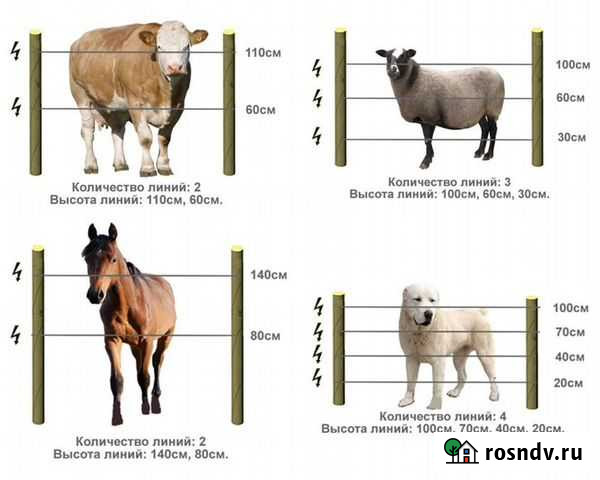 Генератор импульсов электропастух Бугульма - изображение 1