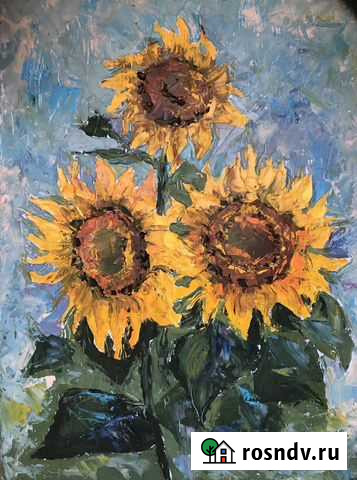 Подсолнухи Наро-Фоминск - изображение 1