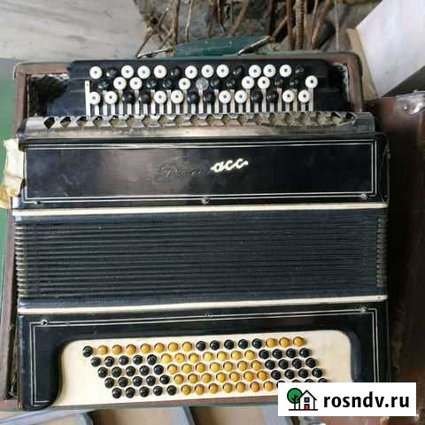 Баян Железногорск - изображение 1