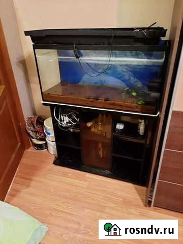 Аквариум Саранск - изображение 1