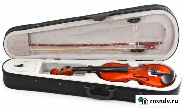 Скрипка Ростов-на-Дону - изображение 1