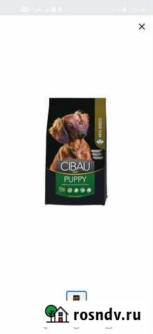 Продам корм Саранск - изображение 1