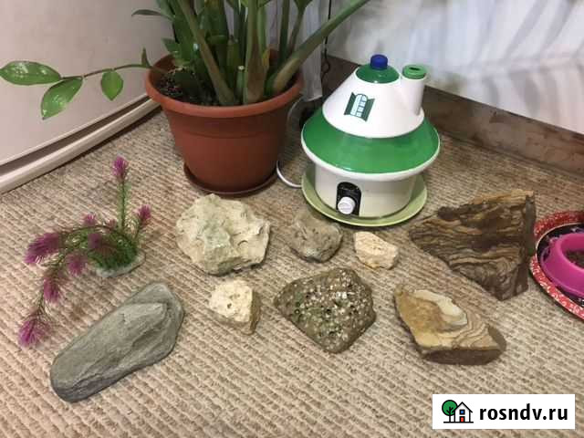 Грунт для аквариума/ камни Старый Оскол - изображение 1