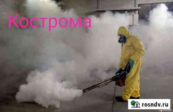 Уничтожение клопов, тараканов, клещей, плесени Кострома