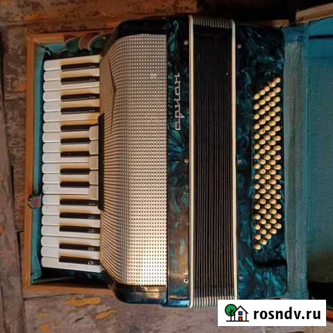 Аккордеон Самара - изображение 1