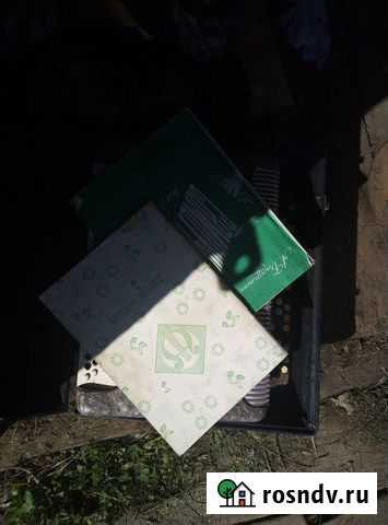 Баян Восток Биробиджан - изображение 1