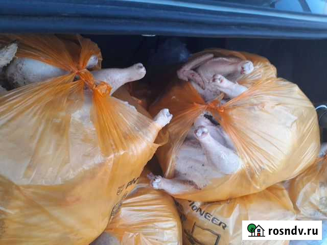 Домашний куриное мясо Алексеевка - изображение 1