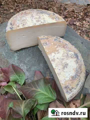 Сыр Чеддер козий Новоуральск - изображение 1