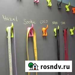 Ремонт оборудования для Грумминга Сургут - изображение 1