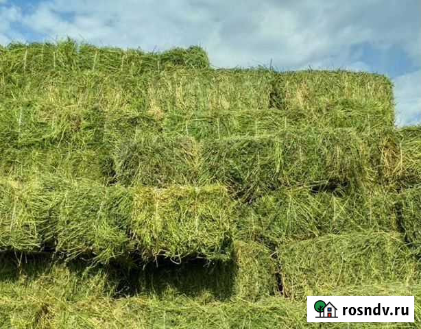 Сено, солома с доставкой Элиста - изображение 1