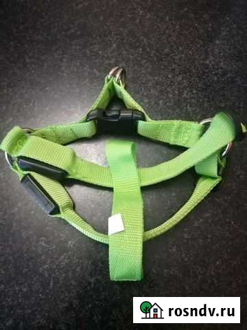 Шлейка для маленькой собаки, новая Биробиджан - изображение 1