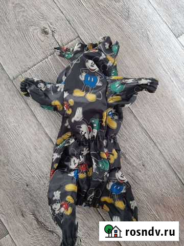 Одежда для собаки Усть-Абакан - изображение 1