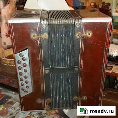 Гармонь Псков - изображение 1