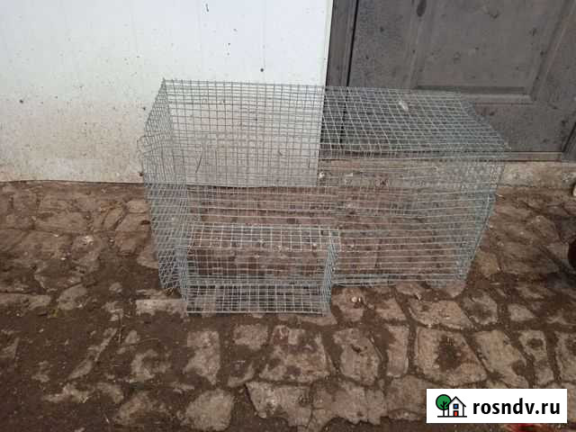 Клетка для кур, перепелов, кролика Кыштым - изображение 1