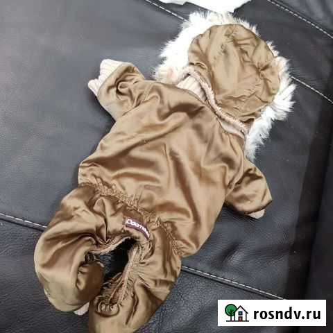 Одежда для маленькой собаки Фрязино - изображение 1