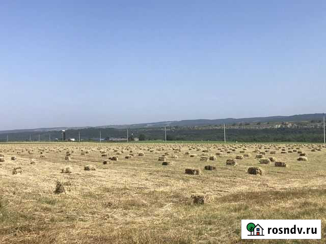 Продается сено (суданка) Кашхатау - изображение 1