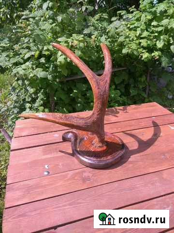 Рога лося Муром - изображение 1