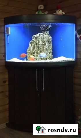 Аквариум 186 литров jebo Ачинск - изображение 1