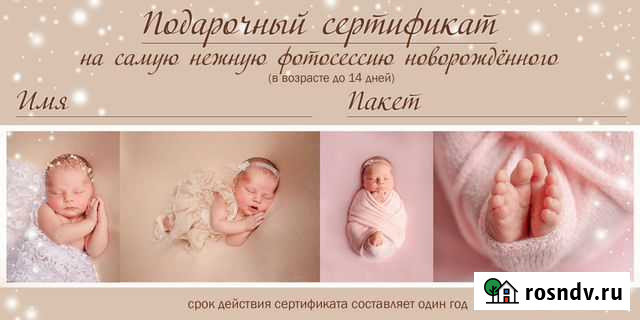 Подарочный сертификат на фотосессию новорожденных Выборг - изображение 1