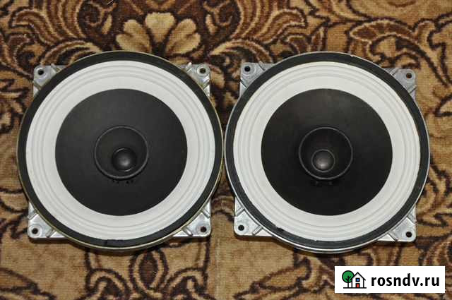 Динамики шп 10гд-36к (10 гдш-1-4) 12.10.1984г Каменск-Шахтинский - изображение 1