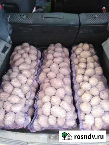 Картофель с бесплатной доставкой Ижевск - изображение 1