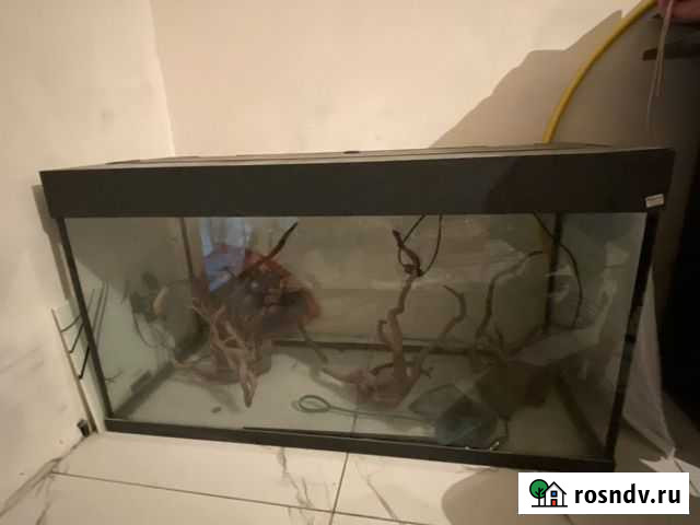 Аквариум Калуга - изображение 1